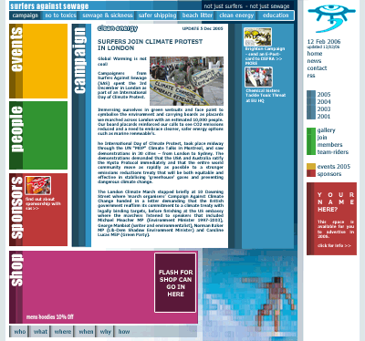 sas website concept