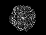 Inverted cone sequence
