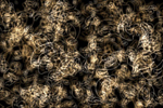 Add Blur Filter